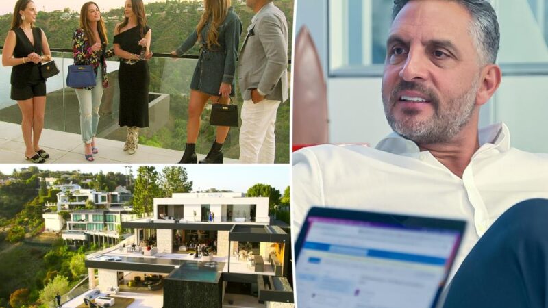 Netflix annule Buying Beverly Hills après seulement deux saisons, les détails révélés