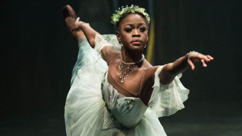 Décès de Michaela DePrince, étoile montante du ballet à 29 ans