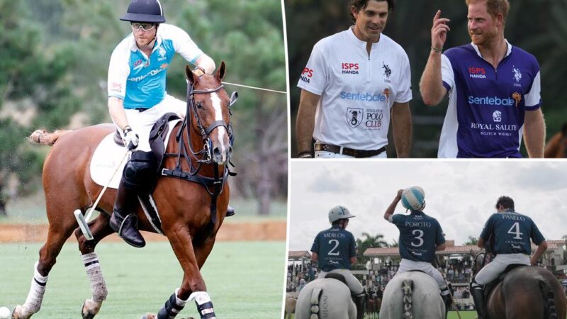 Documentaire sur le polo du prince Harry déçoit Netflix, des attentes non réalisées