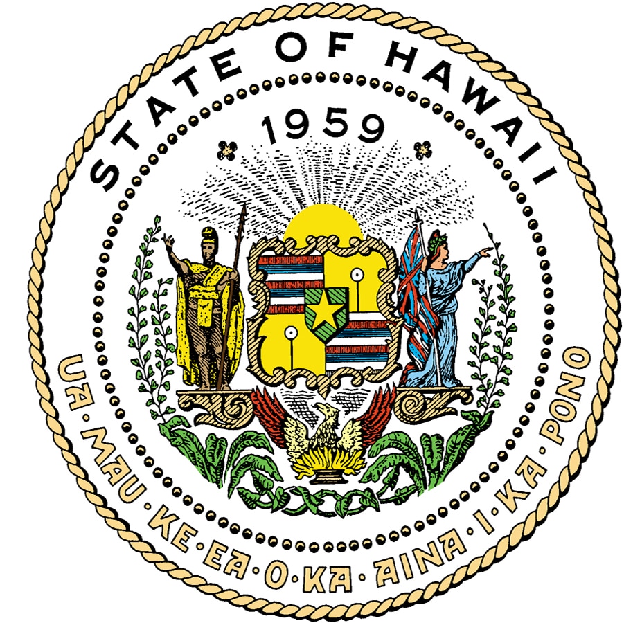 Hawaii : la série HI-SURF cartonne et recrute des talents locaux pour une unité aquatique spécialisée