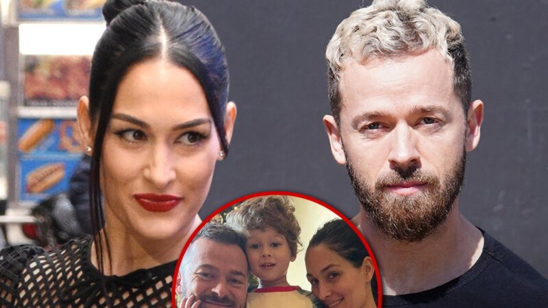 Nikki Bella demande la garde de son fils après son divorce d’Artem Chigvintsev