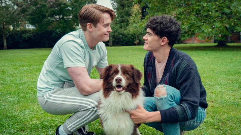7 livres similaires à ‘Heartstopper’ à découvrir après la saison 3 sur Netflix