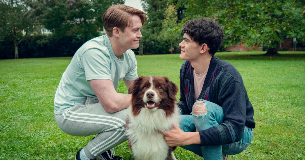 7 livres similaires à ‘Heartstopper’ à découvrir après la saison 3 sur Netflix