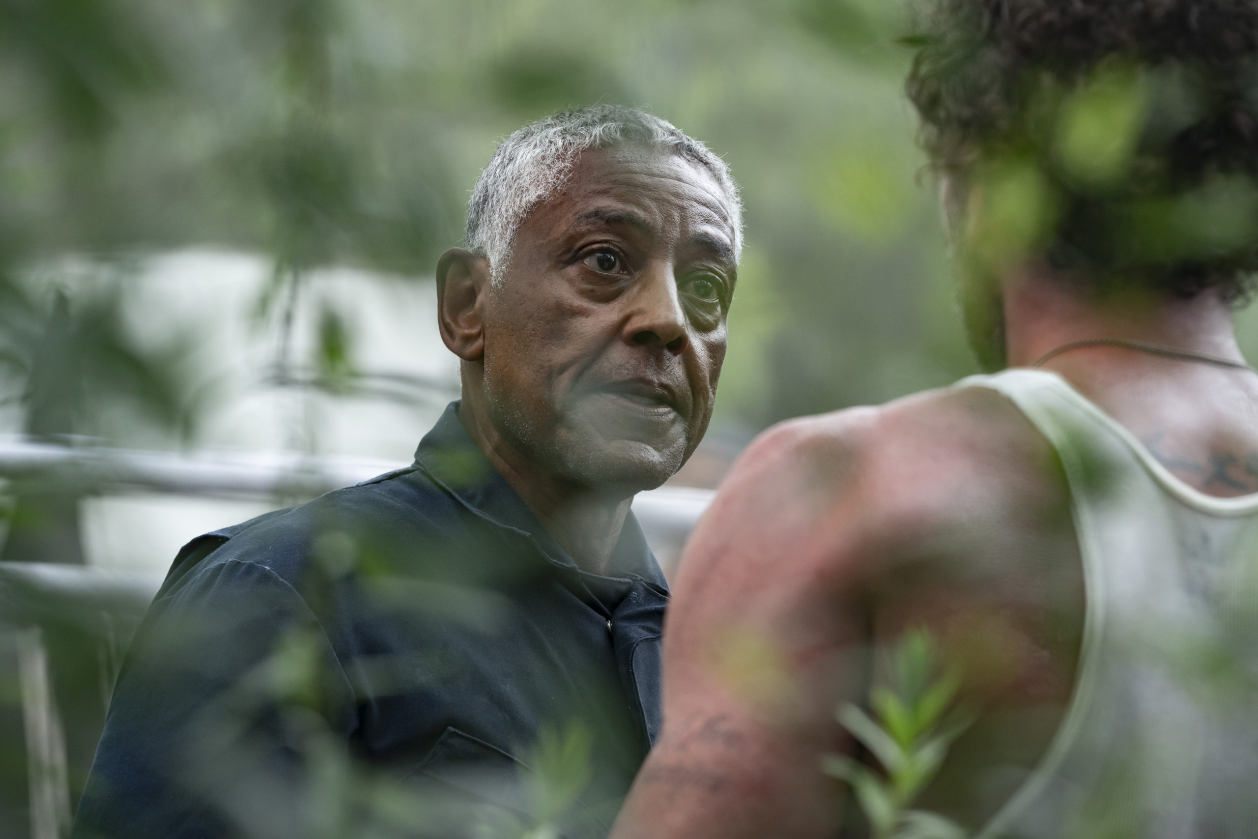 AMC annule ‘Parish’, pas de saison 2 pour la série criminelle