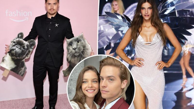 Dylan Sprouse surprend Barbara Palvin au Victoria’s Secret Fashion Show avec des cut-outs de leurs animaux