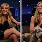 Jennifer Aniston Wows in Edgy Little Black Dress on 'Kimmel'