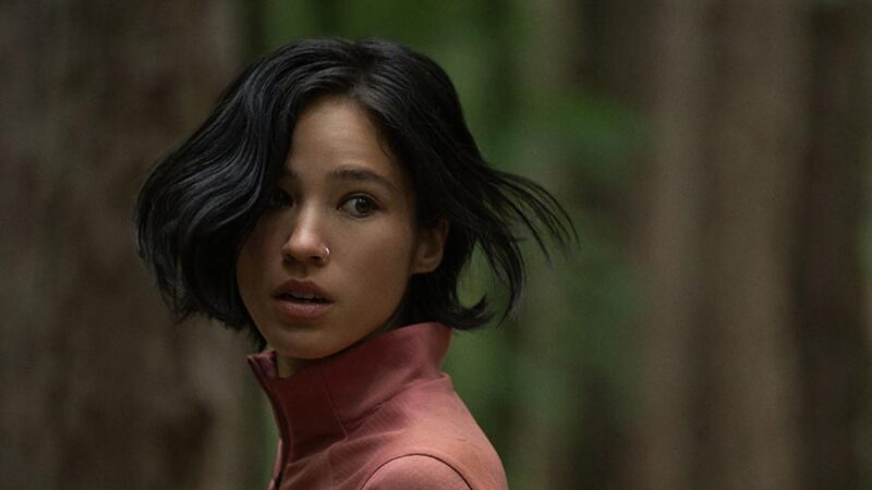 Octobre : nouveautés à ne pas manquer sur Disney+ et Netflix