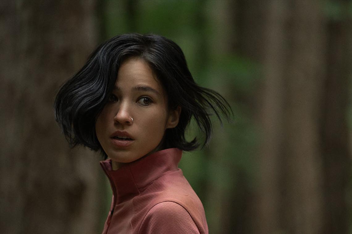 Octobre : nouveautés à ne pas manquer sur Disney+ et Netflix