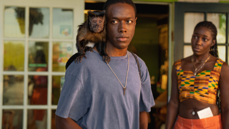 PETA propose de supprimer un personnage dans ‘Bad Monkey’ en attendant la saison 2