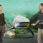 Blackmagic - Ultimatte - Shark Attack 360 - documental - documentary