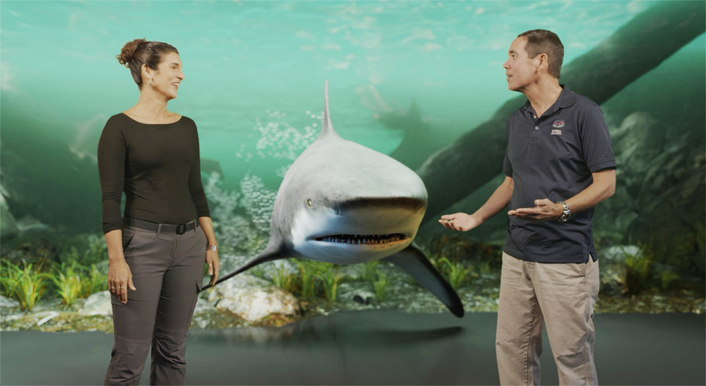 Shark Attack 360′ : le nouveau documentaire de Disney+ réalisé avec Ultimatte