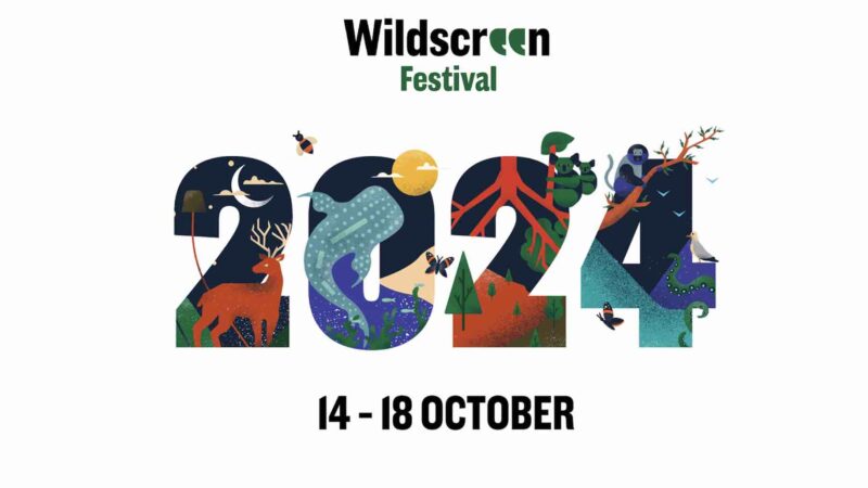Wildscreen : ce que Nat Geo et Disney+ recherchent