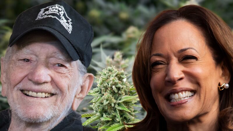 Willie Nelson organise un appel Zoom pour soutenir Kamala Harris et la légalisation du cannabis