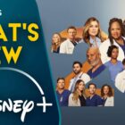 What’s New On Disney+ | Grey’s Anatomy – Season 21 – Mid-Finale (UK/Ireland) – What's On Disney Plus