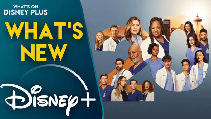 Grey’s Anatomy saison 21 : nouvelles infos sur Disney+ pour le Royaume-Uni et l’Irlande