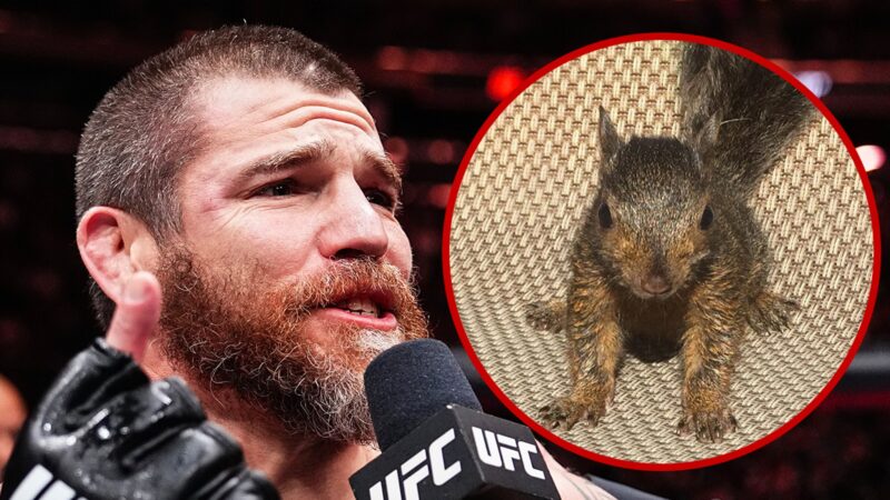 Jim Miller appelle à la justice pour Peanut, l’écureuil tué par les autorités de New York
