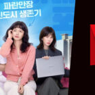 Sorry Not Sorry Netflix K Drama Weekly December