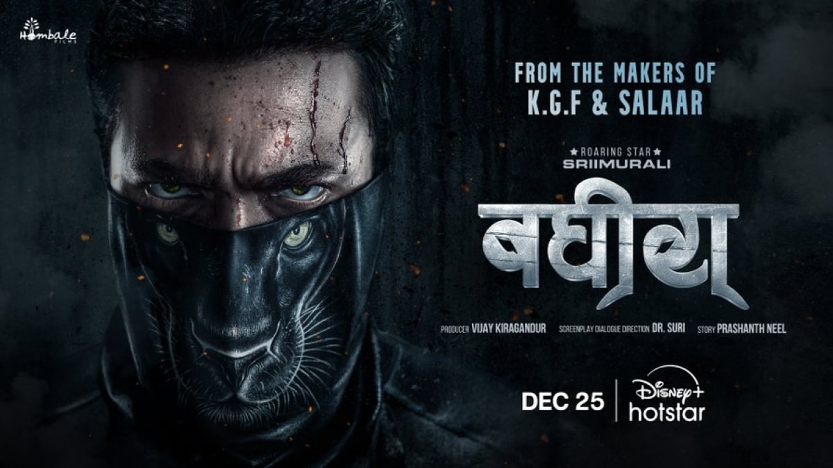Bagheera en streaming sur Disney+ Hotstar : ce qu’il faut savoir
