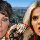Mountain Lion Seen in Kris Jenner, Khloe Kardashian's Neighborhood
