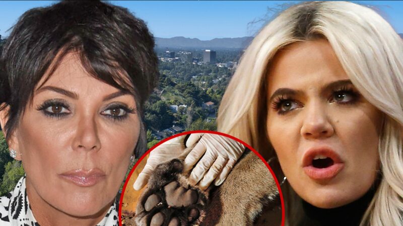 Coyote à Hidden Hills : Kris Jenner et Khloe Kardashian en alerte après une apparition de puma