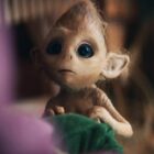 a small brown elf from the TV show Elves holds a green cap and looks toward the camera with big, black eyes and a pointy head