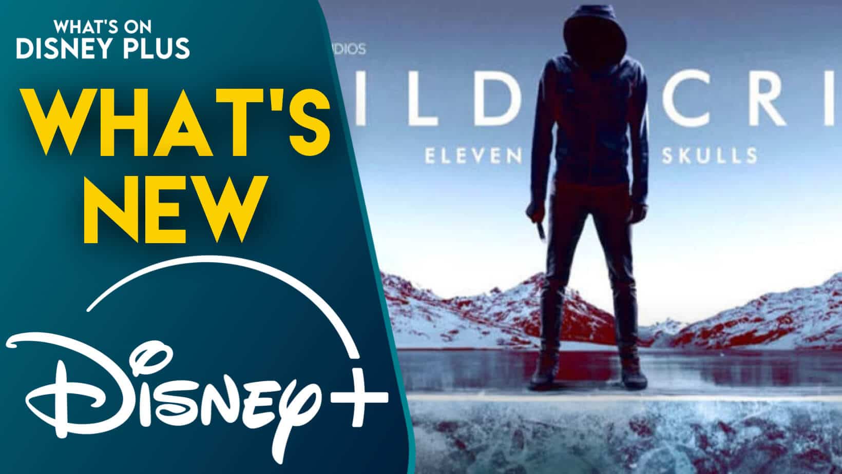 Disney+ : la saison 4 de Wild Crime disponible
