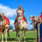 Idlicote camel, stars in Disney+ blockbuster, Rival's