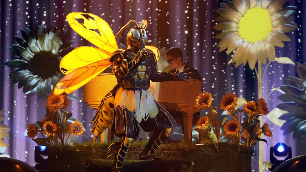 Interview du finaliste de la saison 12 de ‘The Masked Singer’ : qui est la Wasp ?