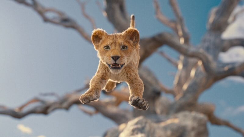 La date de sortie de la suite du Roi Lion sur Disney+
