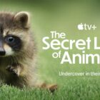 Trailer for The Secret Lives of Animals shows 'wild' animals