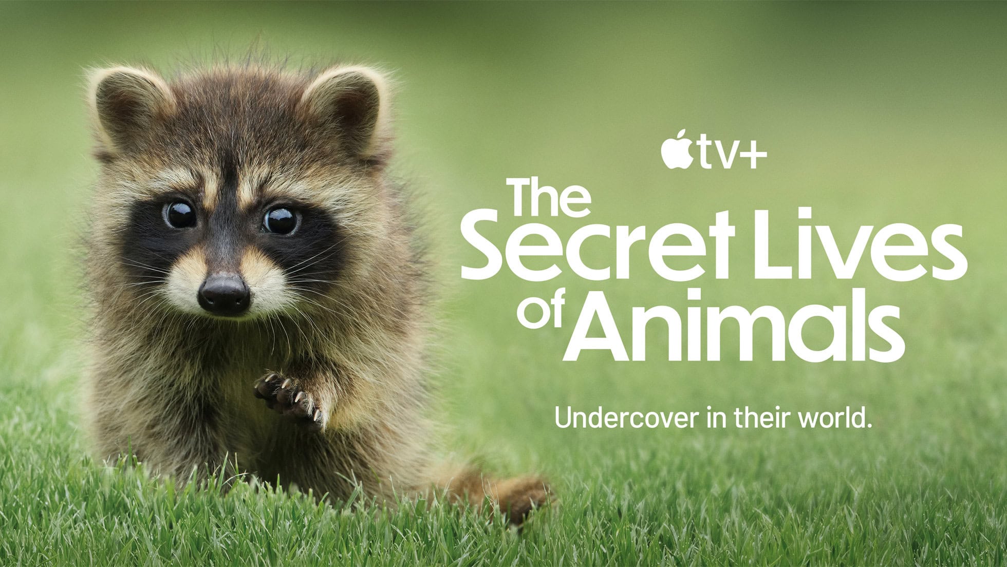 Le trailer de Les vies secrètes des animaux dévoile des animaux sauvages