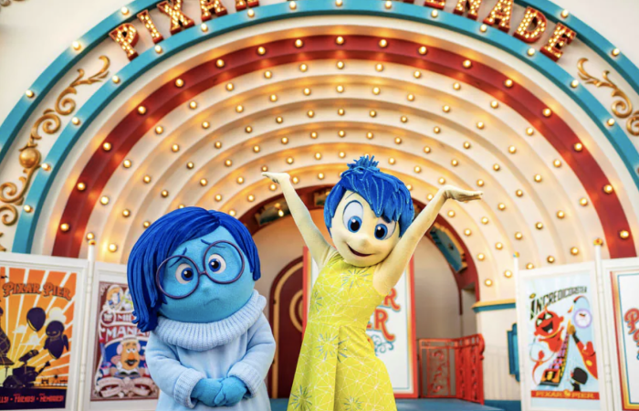 Les Disney adults captivés par un événement le 11 décembre