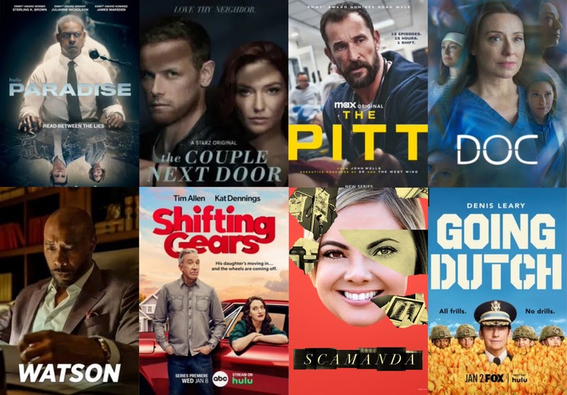 Les nouvelles séries à découvrir en janvier