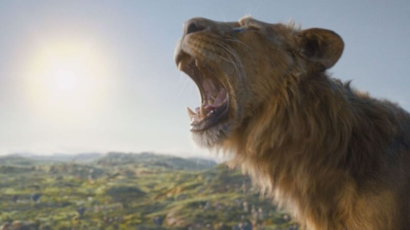 Mufasa sur Disney Plus : date de sortie du préquel Le Roi Lion | Series 80