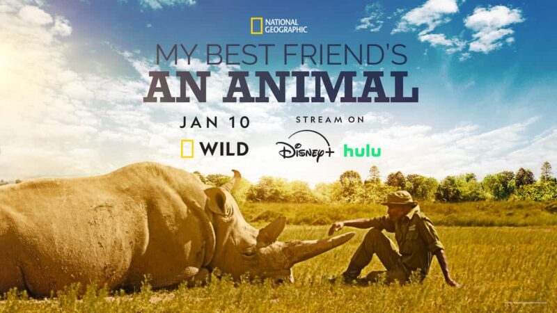 My best friend est un animal : arrivée sur Nat Geo Wild, Hulu et Disney+