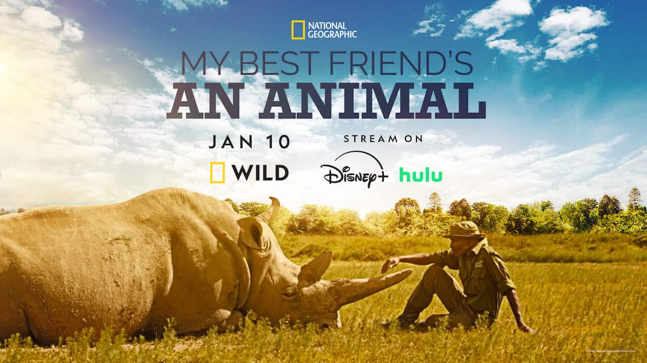 My best friend est un animal : arrivée sur Nat Geo Wild, Hulu et Disney+