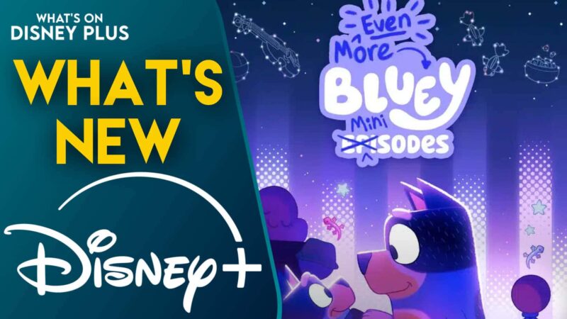 Nouveaux minisodes de Bluey sur Disney+ aux États-Unis