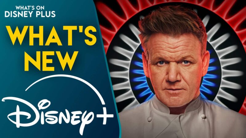 Nouvelles séries sur Disney+ : Hell’s Kitchen et autres ajouts