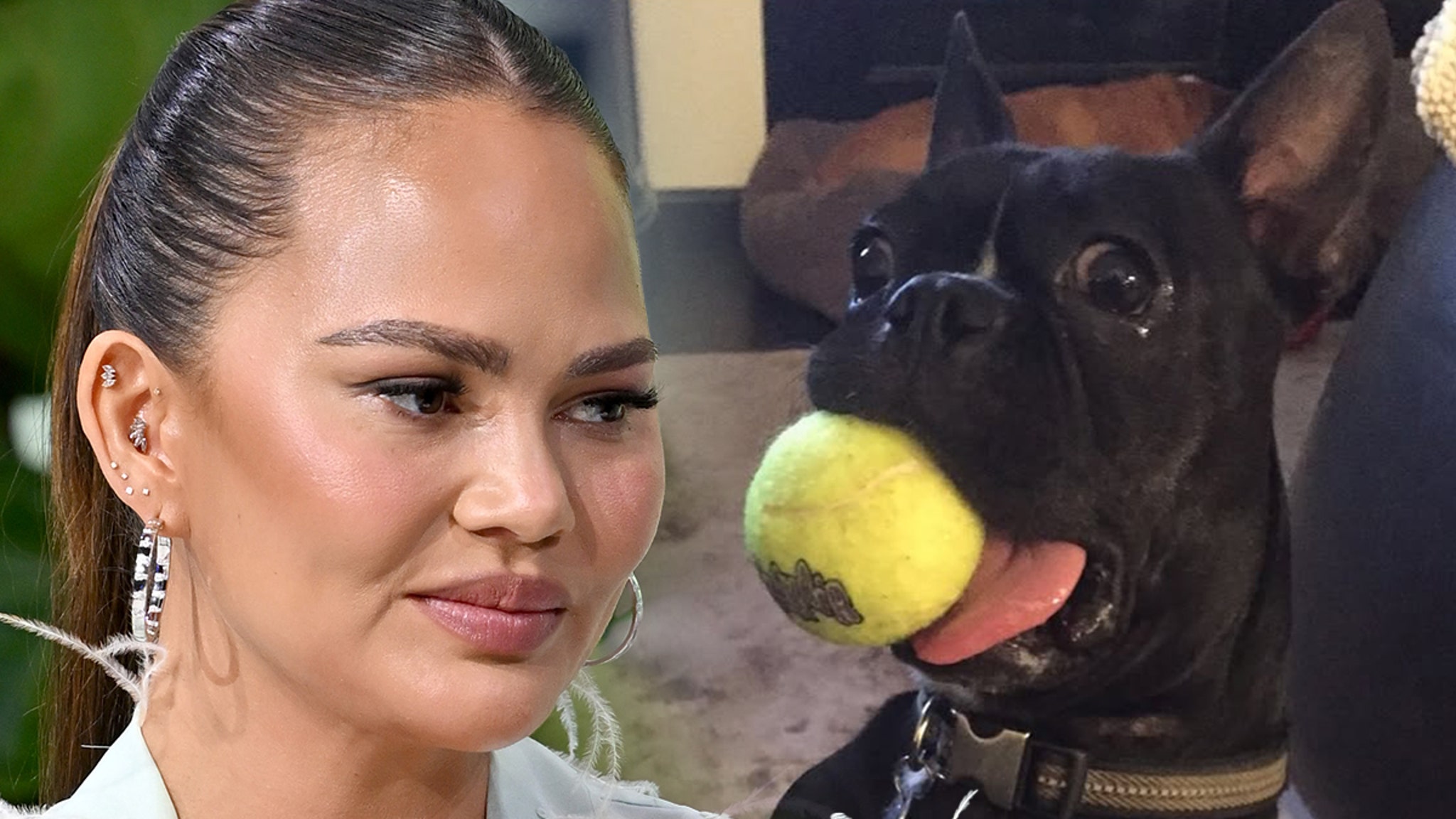 Chrissy Teigen annonce la mort de son chien Penny