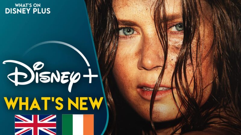 Découvrez les nouveautés Disney+ : Nightbitch débarque au Royaume-Uni et en Irlande