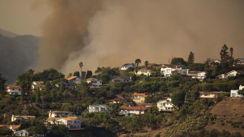 Incendies à Los Angeles : le point sur les feux et leur contenir