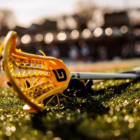 River Hawks Announce Newcomers for 2025 Season
