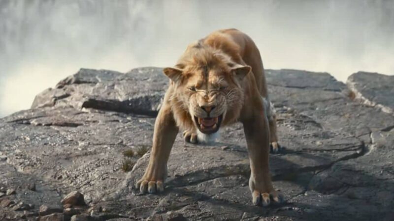 Mufasa : le roi lion disponible en streaming sur Disney+ dès quand ?