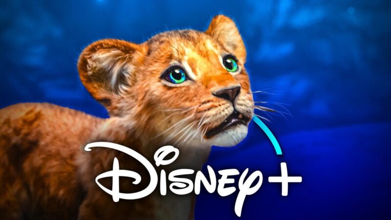 Mufasa sur Disney+ : un événement autour du Roi Lion annoncé