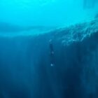 Freediver. Image: Paramount+.