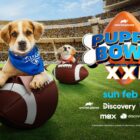 Puppy Bowl 21 TV Show