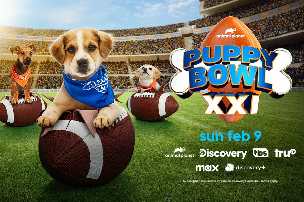 Puppy Bowl 2024 : date et diffuseurs révélés