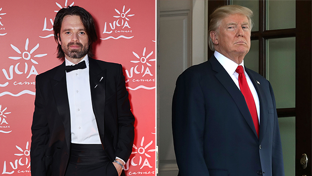 The film The Apprentice choque Cannes avec son portrait controversé de Donald Trump