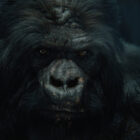 How UNIT created a CG photoreal gorilla for Paramount+ drama Stags
