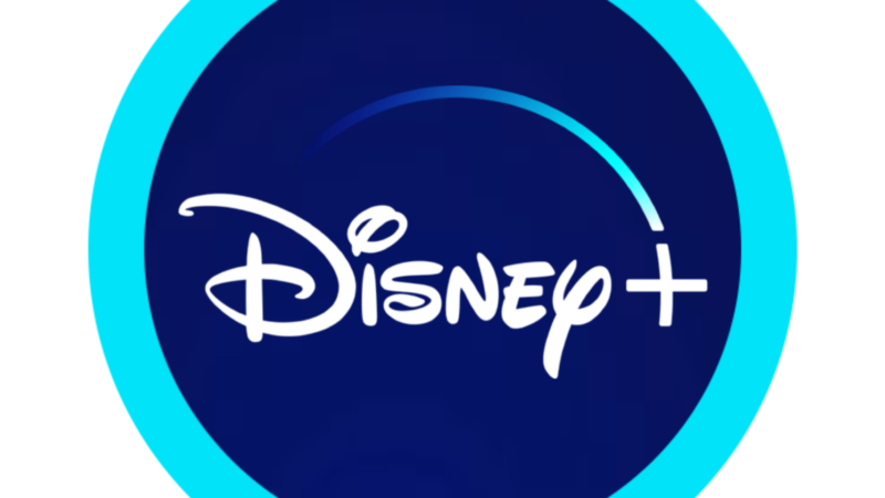 Disney+ : des abonnés menacent d’annuler leurs souscriptions à cause d’un problème “ridicule”